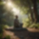 Person meditating in peaceful nature setting