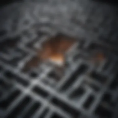 Navigating Life's Challenges A maze symbolizing the complexity of life's challenges