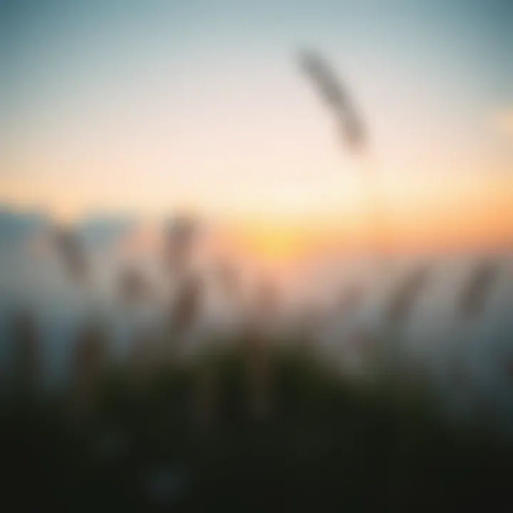 A serene landscape representing inner peace and self-reflection.