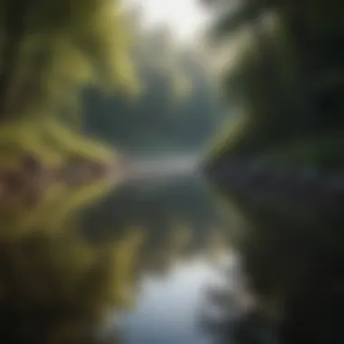 Finding Peace in Reflection A serene landscape symbolizing inner peace and contemplation