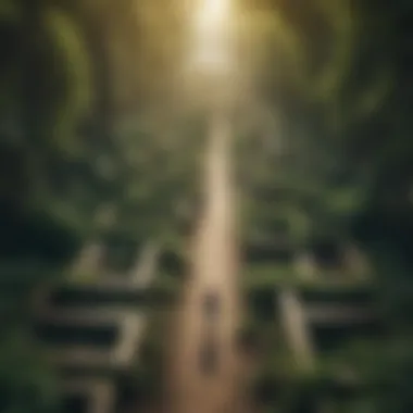 Illustration of a maze with a clear path towards personal development