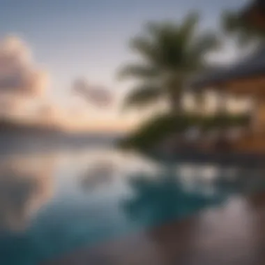 Luxurious Infinity Pool Luxurious Infinity Pool