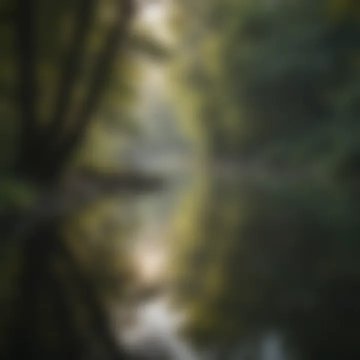 A serene landscape reflecting mental clarity and emotional balance