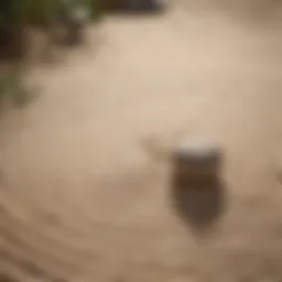 Zen garden with raked patterns in sand