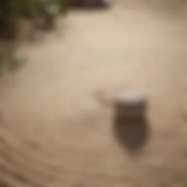 Zen garden with raked patterns in sand